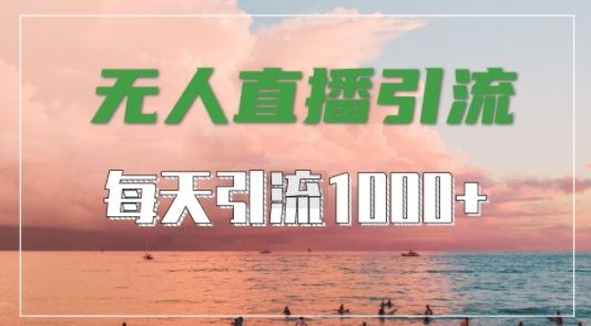 抖音快手视频号全平台通用，无人直播引流法，超暴力引流1000+高质量精准创业粉【揭秘】-天孤无涯网