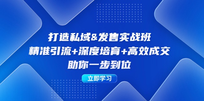 （12642期）打造私域&发售实操班：精准引流+深度培育+高效成交，助你一步到位-天孤无涯网