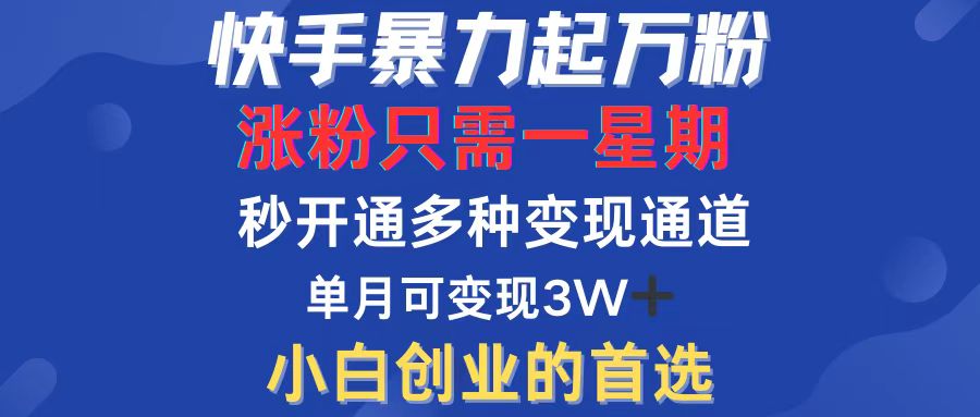 （12651期）快手暴力起万粉，涨粉只需一星期，多种变现模式，直接秒开万合，小白创…-天孤无涯网