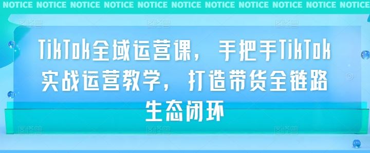 TikTok全域运营课，手把手TikTok实战运营教学，打造带货全链路生态闭环-天孤无涯网