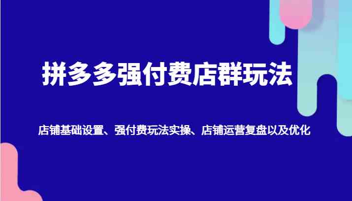 拼多多强付费店群玩法：店铺基础设置、强付费玩法实操、店铺运营复盘以及优化-天孤无涯网