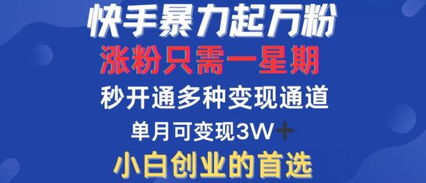 快手暴力起万粉，涨粉只需一星期，多种变现模式，直接秒开万合，单月变现过W【揭秘】-天孤无涯网
