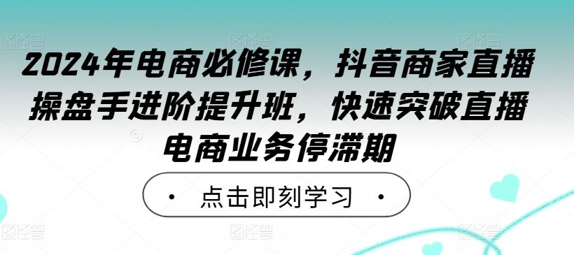 2024年电商必修课，抖音商家直播操盘手进阶提升班，快速突破直播电商业务停滞期-天孤无涯网