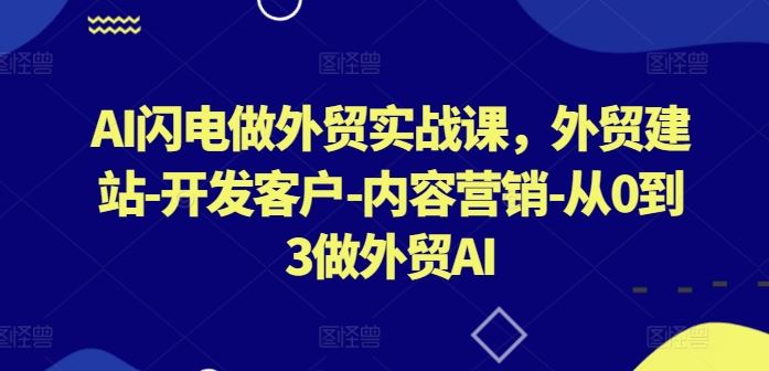 AI闪电做外贸实战课，​外贸建站-开发客户-内容营销-从0到3做外贸AI（更新）-天孤无涯网