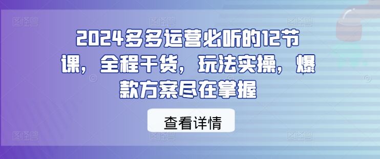 2024多多运营必听的12节课，全程干货，玩法实操，爆款方案尽在掌握-天孤无涯网
