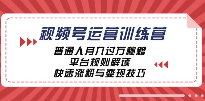 （12722期）视频号运营训练营：普通人月入过万秘籍，平台规则解读，快速涨粉与变现…-天孤无涯网