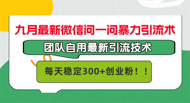 （12735期）九月最新微信问一问暴力引流术，团队自用引流术，每天稳定300+创…-天孤无涯网