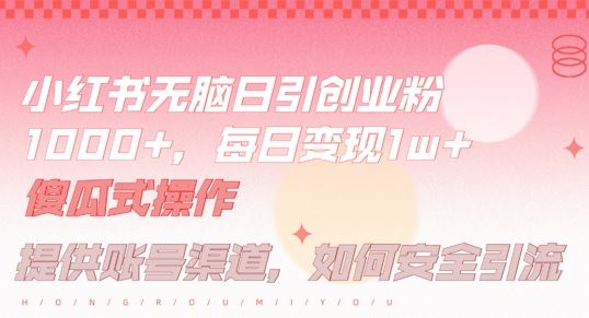 小红书无脑每日引流创业粉500+，小白每天只花半小时，躺赚长尾收益【揭秘】-天孤无涯网