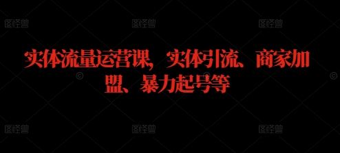 实体流量运营课，实体引流、商家加盟、暴力起号等-天孤无涯网