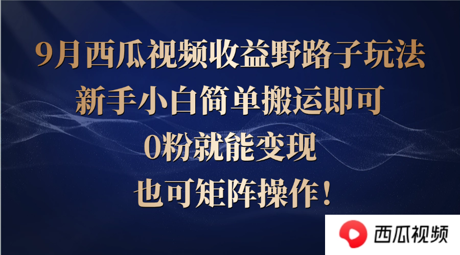 （12760期）西瓜视频收益野路子玩法，新手小白简单搬运即可，0粉就能变现，也可矩…-天孤无涯网