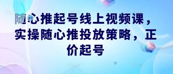 随心推起号线上视频课，实操随心推投放策略，正价起号-天孤无涯网