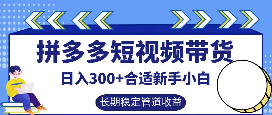 拼多多短视频带货日入300+，实操账户展示看就能学会-天孤无涯网