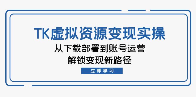 （12770期）TK虚拟资源变现实操：从下载部署到账号运营，解锁变现新路径-天孤无涯网
