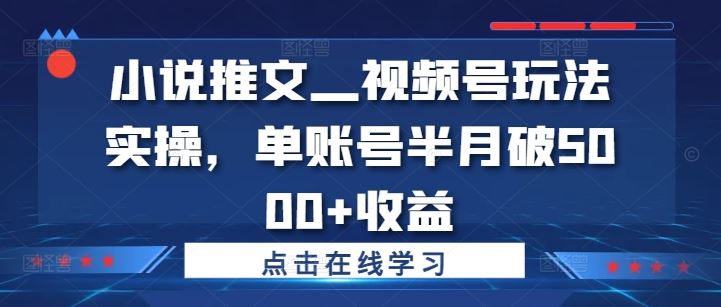 小说推文—视频号玩法实操，单账号半月破5000+收益-天孤无涯网