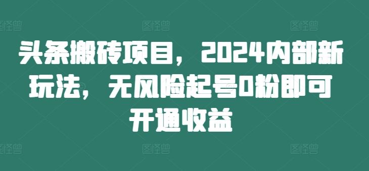头条搬砖项目，2024内部新玩法，无风险起号0粉即可开通收益-天孤无涯网