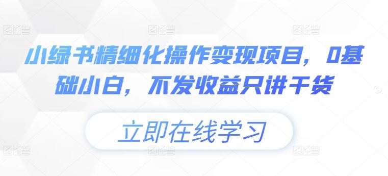 小绿书精细化操作变现项目，0基础小白，不发收益只讲干货-天孤无涯网