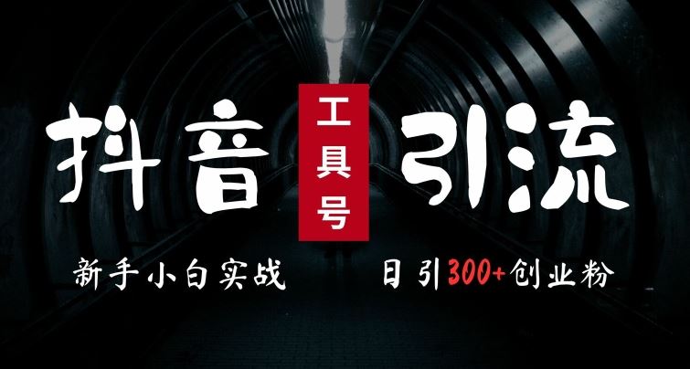 2024最新抖音工具号引流玩法，高效日引300+创业粉，当天变现5k，小白也可成为实战高手-天孤无涯网