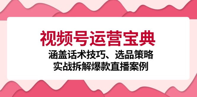 视频号运营宝典：涵盖话术技巧、选品策略、实战拆解爆款直播案例-天孤无涯网