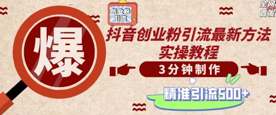 轻松制作创业类视频，一天被动加精准创业粉500+【揭秘】-天孤无涯网