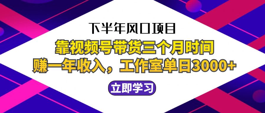 下半年风口项目，靠视频号带货三个月时间赚一年收入，工作室实测单日3…-天孤无涯网