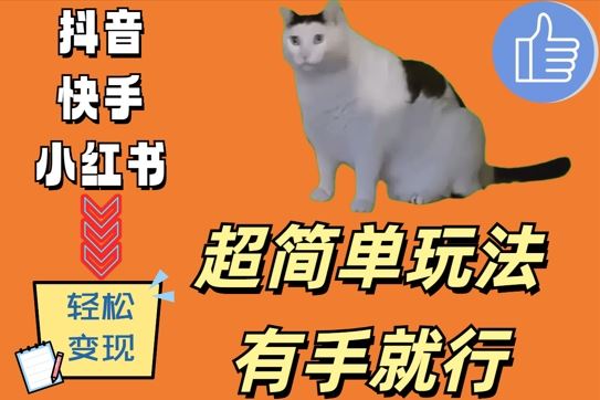 超简单玩法，有手就行，靠猫咪视频日入500+【揭秘】-天孤无涯网