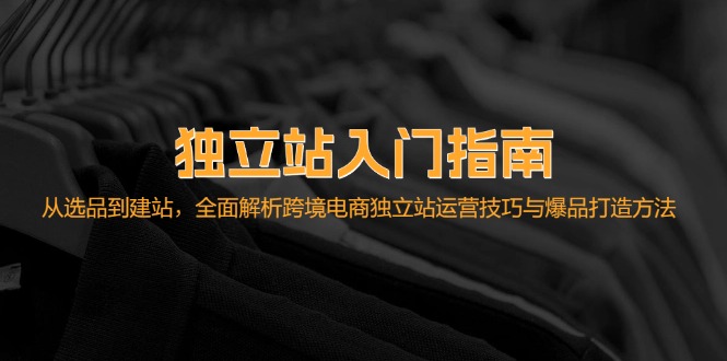 （12882期）独立站入门指南：从选品到建站，全面解析跨境电商独立站运营技巧与爆品…-天孤无涯网