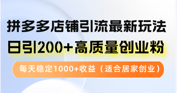 （12893期）拼多多店铺引流最新玩法，日引200+高质量创业粉，每天稳定1000+收益（…-天孤无涯网