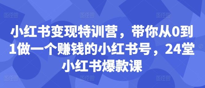 小红书变现特训营，带你从0到1做一个赚钱的小红书号，24堂小红书爆款课-天孤无涯网