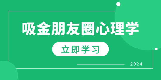 朋友圈吸金心理学：揭秘心理学原理，增加业绩，打造个人IP与行业权威-天孤无涯网