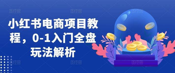 小红书电商项目教程，0-1入门全盘玩法解析-天孤无涯网