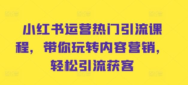 小红书运营热门引流课程，带你玩转内容营销，轻松引流获客-天孤无涯网