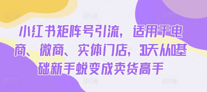 小红书矩阵号引流，适用于电商、微商、实体门店，30天从0基础新手蜕变成卖货高手-天孤无涯网