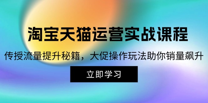 （12959期）淘宝&天猫运营实战课程，传授流量提升秘籍，大促操作玩法助你销量飙升-天孤无涯网
