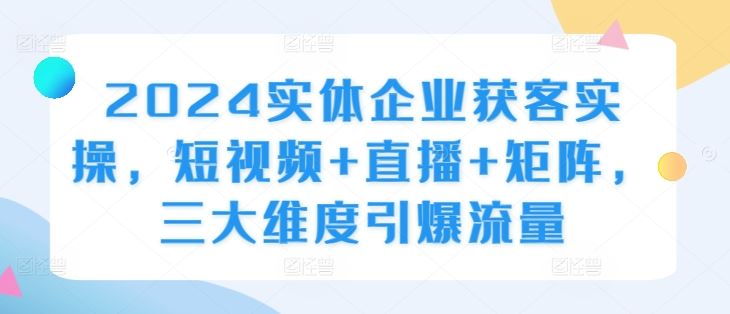 2024实体企业获客实操，短视频+直播+矩阵，三大维度引爆流量-天孤无涯网