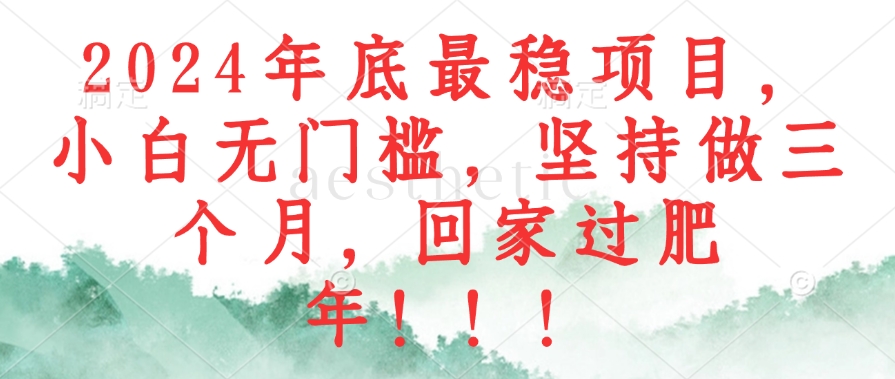 （12970期）2024年底最稳项目，小白无门槛，坚持做三个月，回家过肥年！！！-天孤无涯网