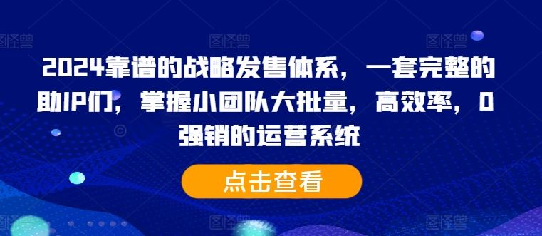 2024靠谱的战略发售体系，一套完整的助IP们，掌握小团队大批量，高效率，0 强销的运营系统-天孤无涯网