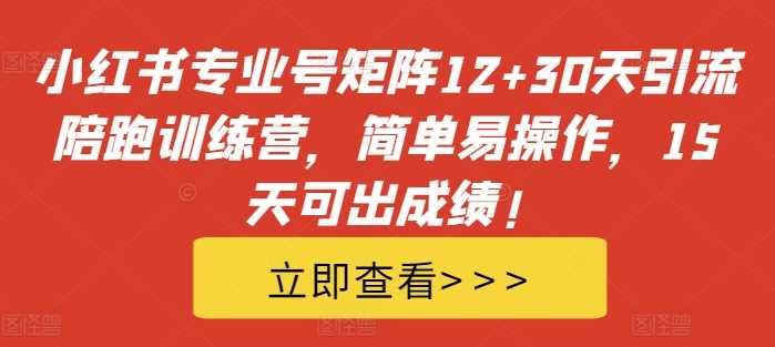 小红书专业号矩阵12+30天引流陪跑训练营，简单易操作，15天可出成绩!-天孤无涯网
