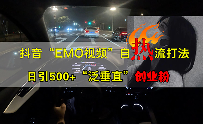 （13029期）抖音EMO视频自热打法，日引500+“泛垂直”创业粉-天孤无涯网
