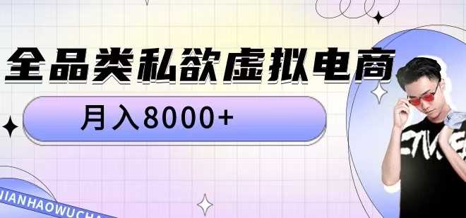 全品类私欲虚拟电商，月入8000+【揭秘】-天孤无涯网