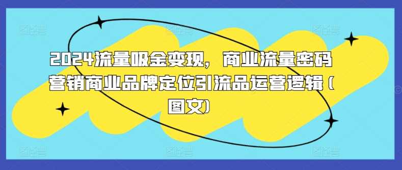 2024流量吸金变现，商业流量密码营销商业品牌定位引流品运营逻辑(图文)-天孤无涯网