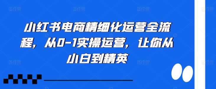 小红书电商精细化运营全流程，从0-1实操运营，让你从小白到精英-天孤无涯网