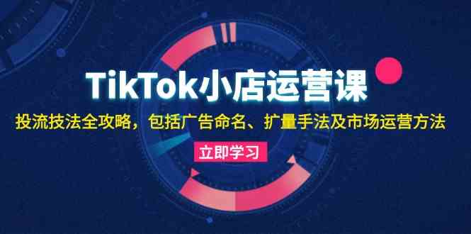 TikTok小店运营课：投流技法全攻略，包括广告命名 扩量手法及市场运营方法-天孤无涯网