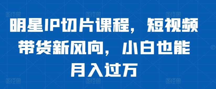 明星IP切片课程，短视频带货新风向，小白也能月入过万-天孤无涯网