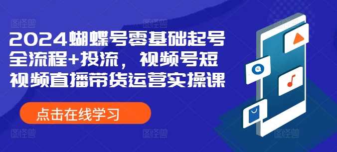 2024蝴蝶号零基础起号全流程+投流，视频号短视频直播带货运营实操课-天孤无涯网