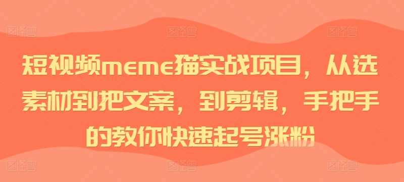 短视频meme猫实战项目，从选素材到把文案，到剪辑，手把手的教你快速起号涨粉-天孤无涯网