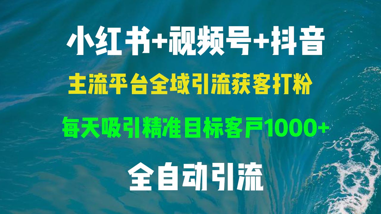 （13104期）小红书，视频号，抖音主流平台全域引流获客打粉，每天吸引精准目标客户…-天孤无涯网