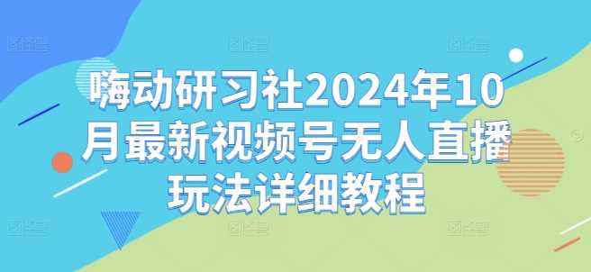 嗨动研习社2024年10月最新视频号无人直播玩法详细教程-天孤无涯网