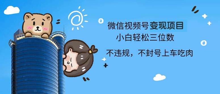 （13115期）2024最新微信视频号变现项目，小白轻松月入四位数-天孤无涯网