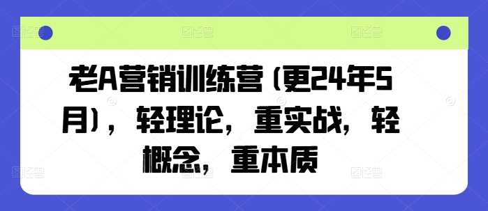 老A营销训练营(更24年10月)，轻理论，重实战，轻概念，重本质-天孤无涯网