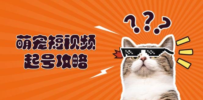萌宠短视频起号攻略：定位搭建推流全解析，助力新手轻松打造爆款-天孤无涯网